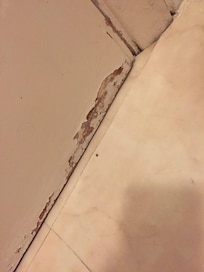 Bathroom door