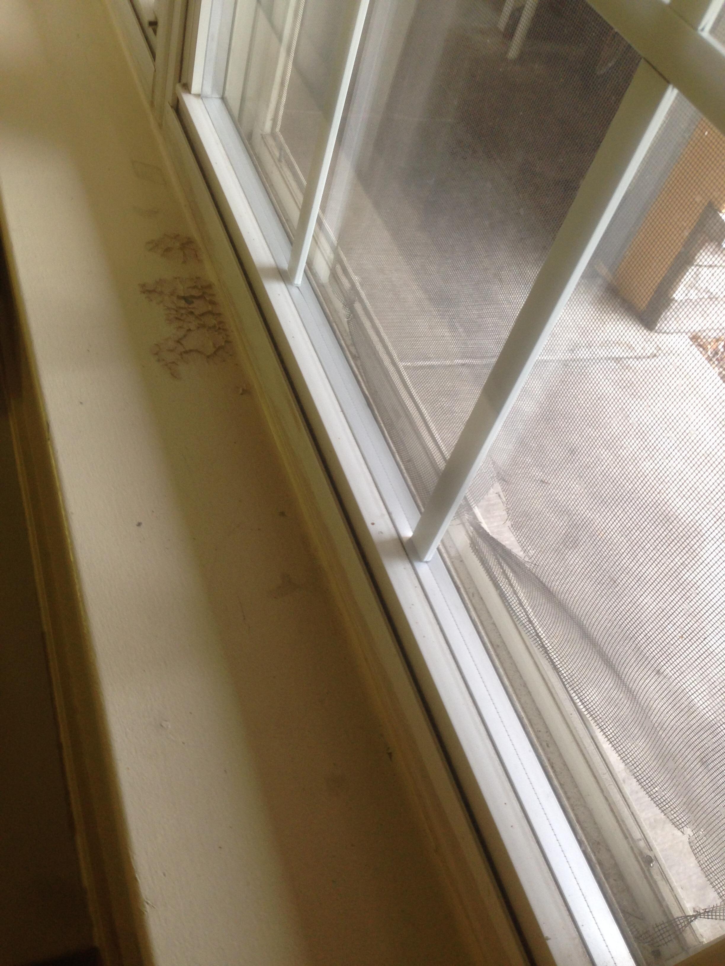 Filthy Windowsill
