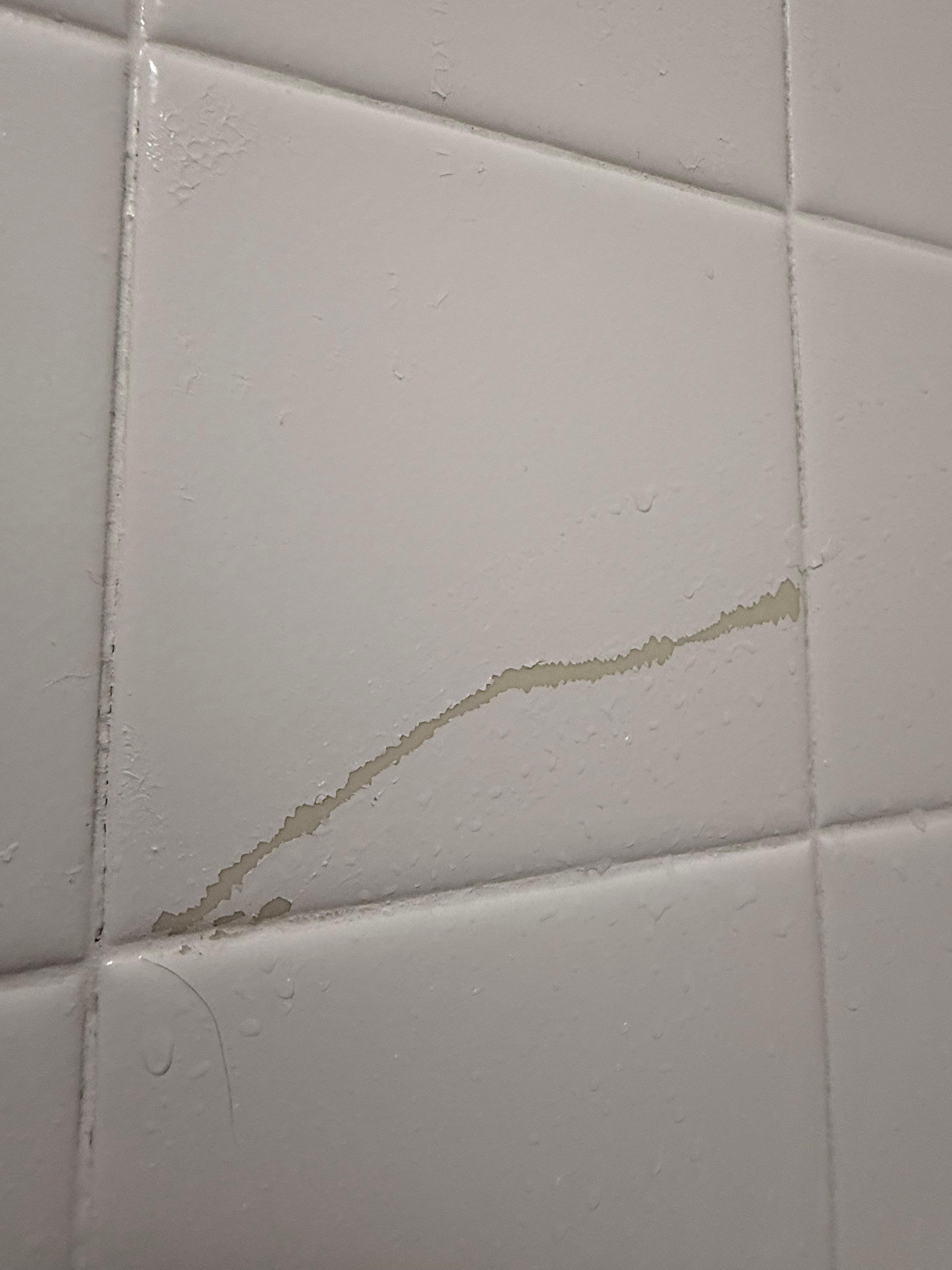 Painted tiles in shower. 