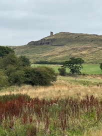 Surrounding area