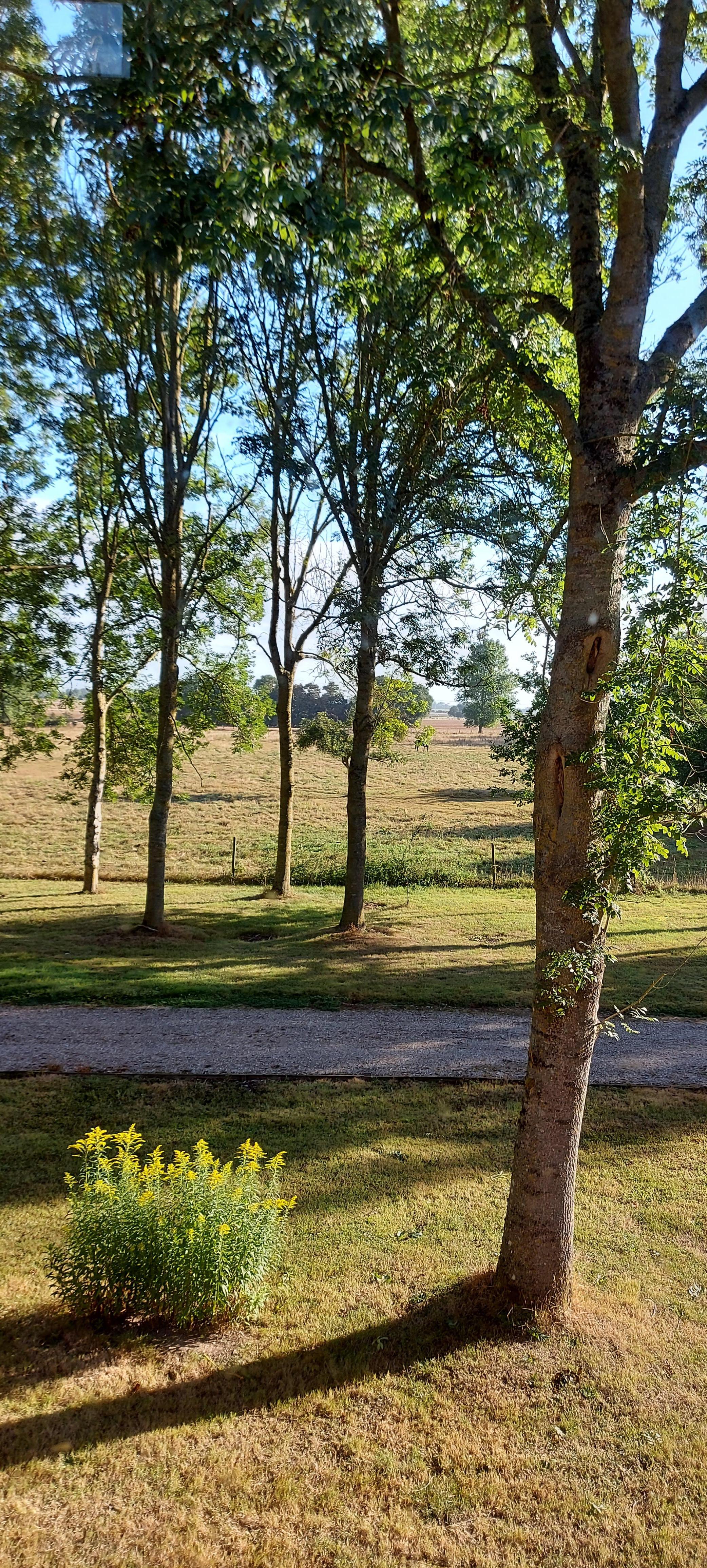 Vue de la fenêtre de la chambre 