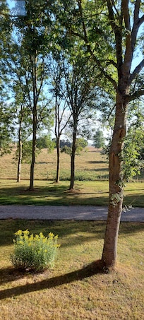 Vue de la fenêtre de la chambre