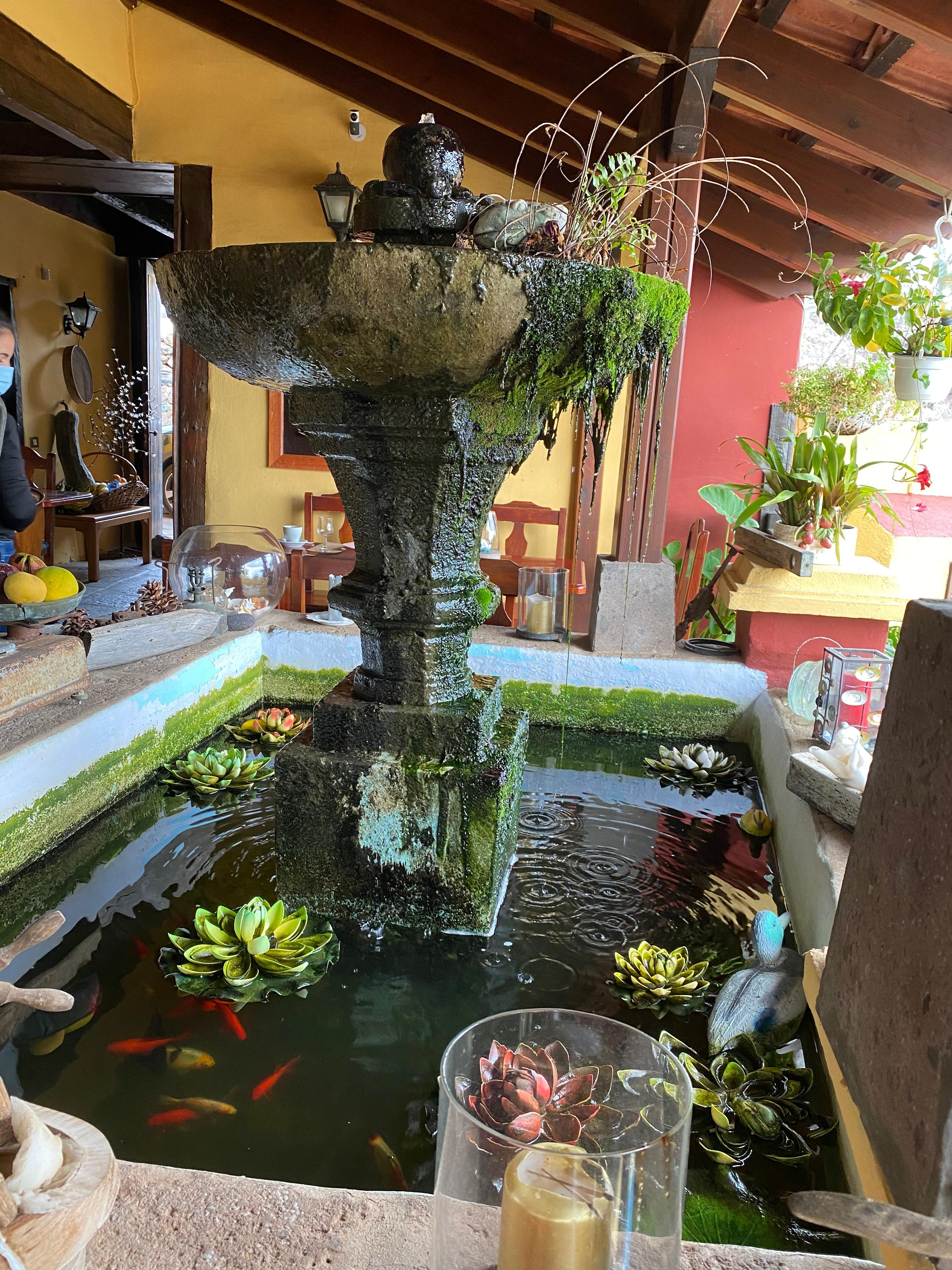 Fountain in the restaurant 