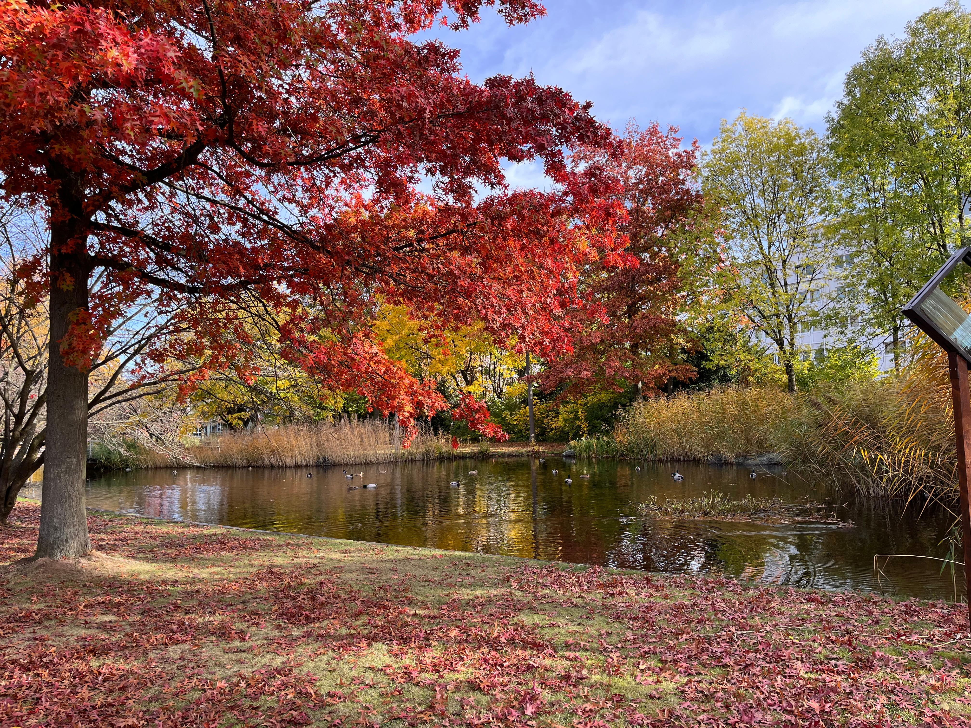 Angrenzender Park 