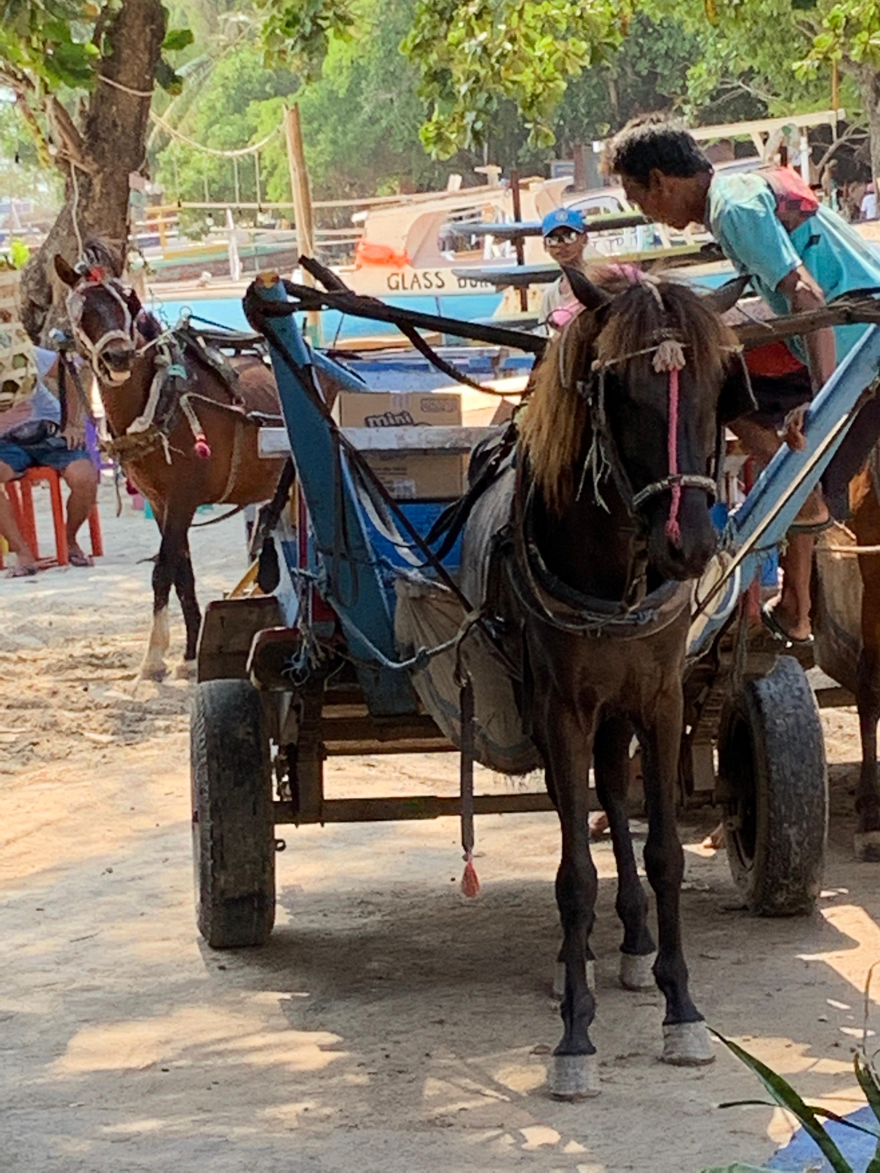 Transportation on Gili Air