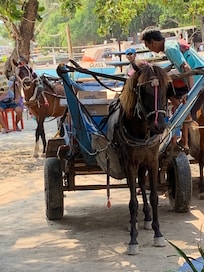 Transportation on Gili Air