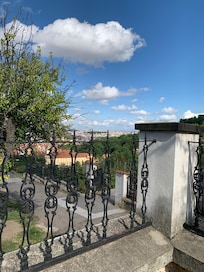 Utsikt från trädgården