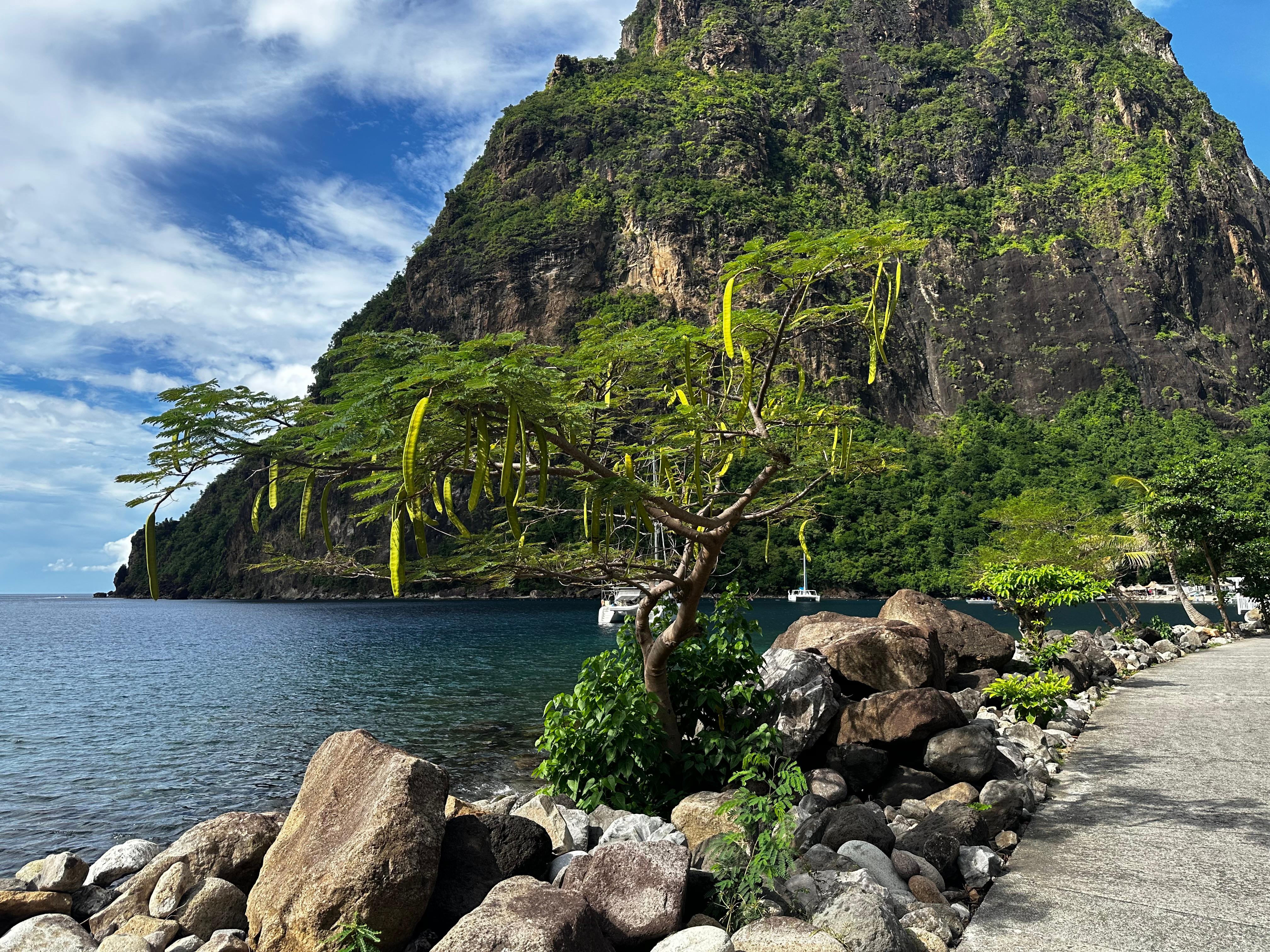 Pitons