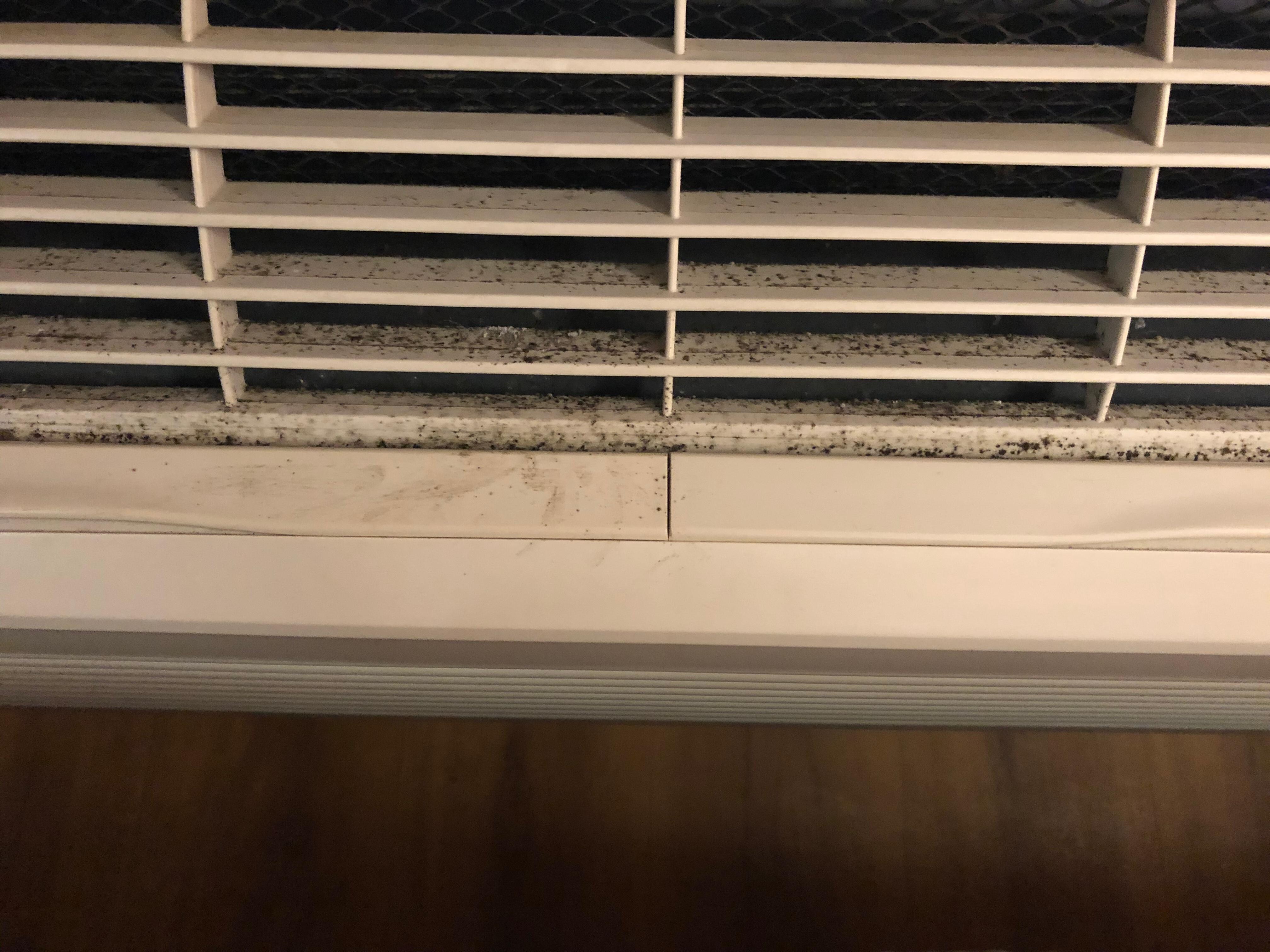 Mold and dust 