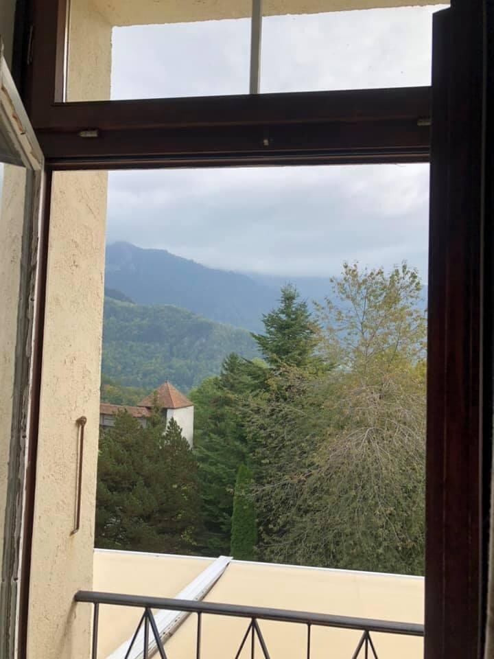 Vue sur montagne