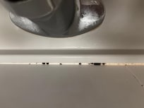 パッキンは至るとことがかびています。