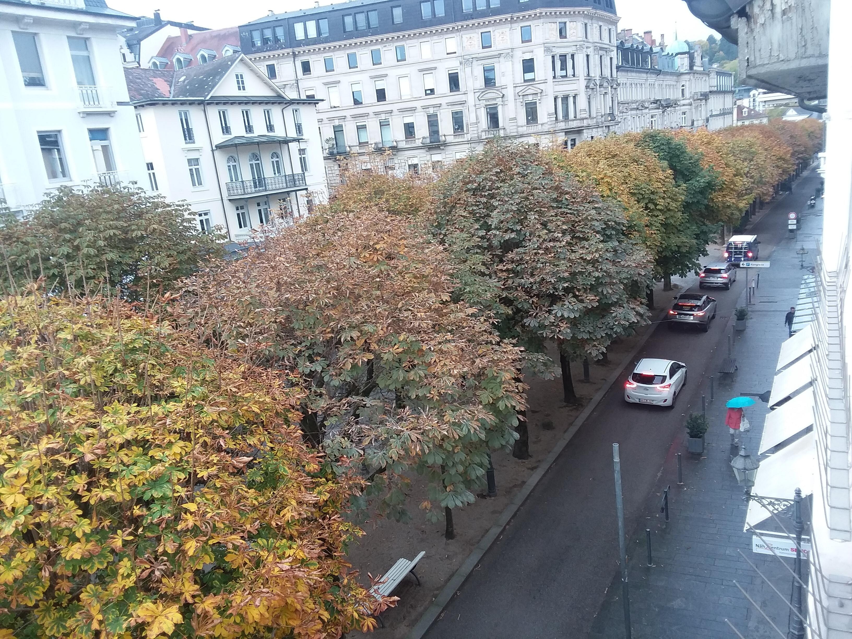 Vista desde la ventana