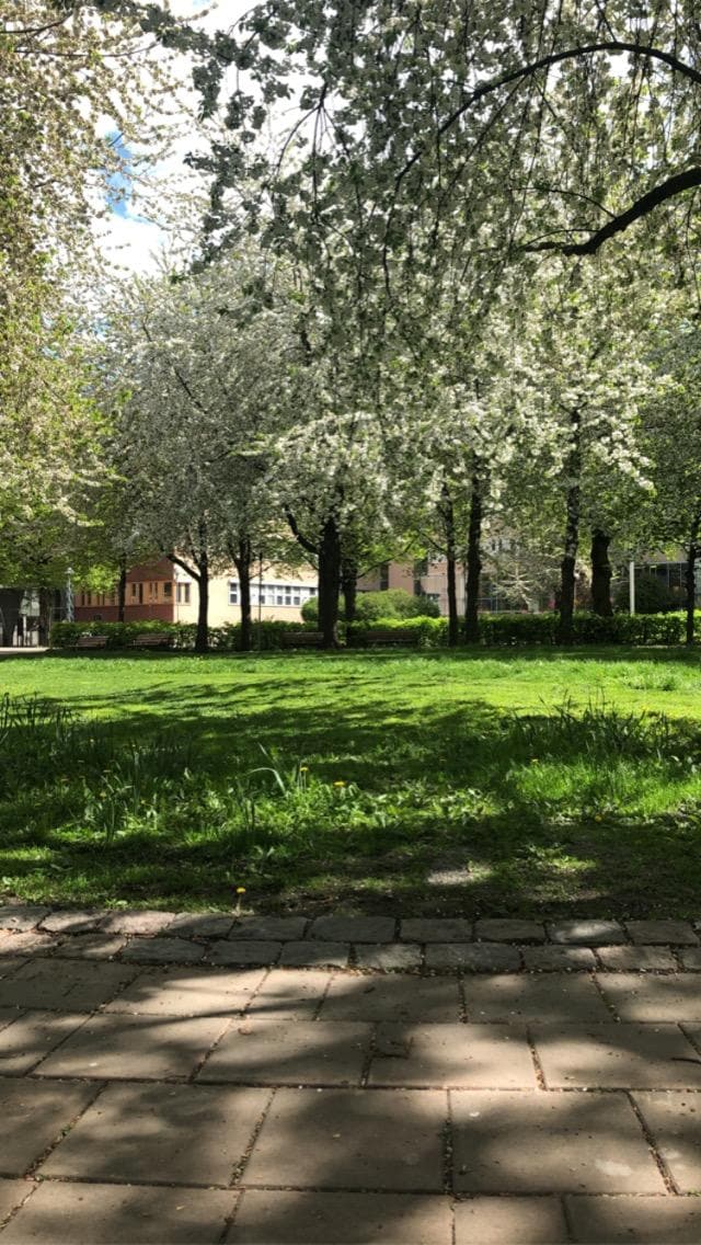 Jätte mysig park bakom!