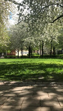 Jätte mysig park bakom!