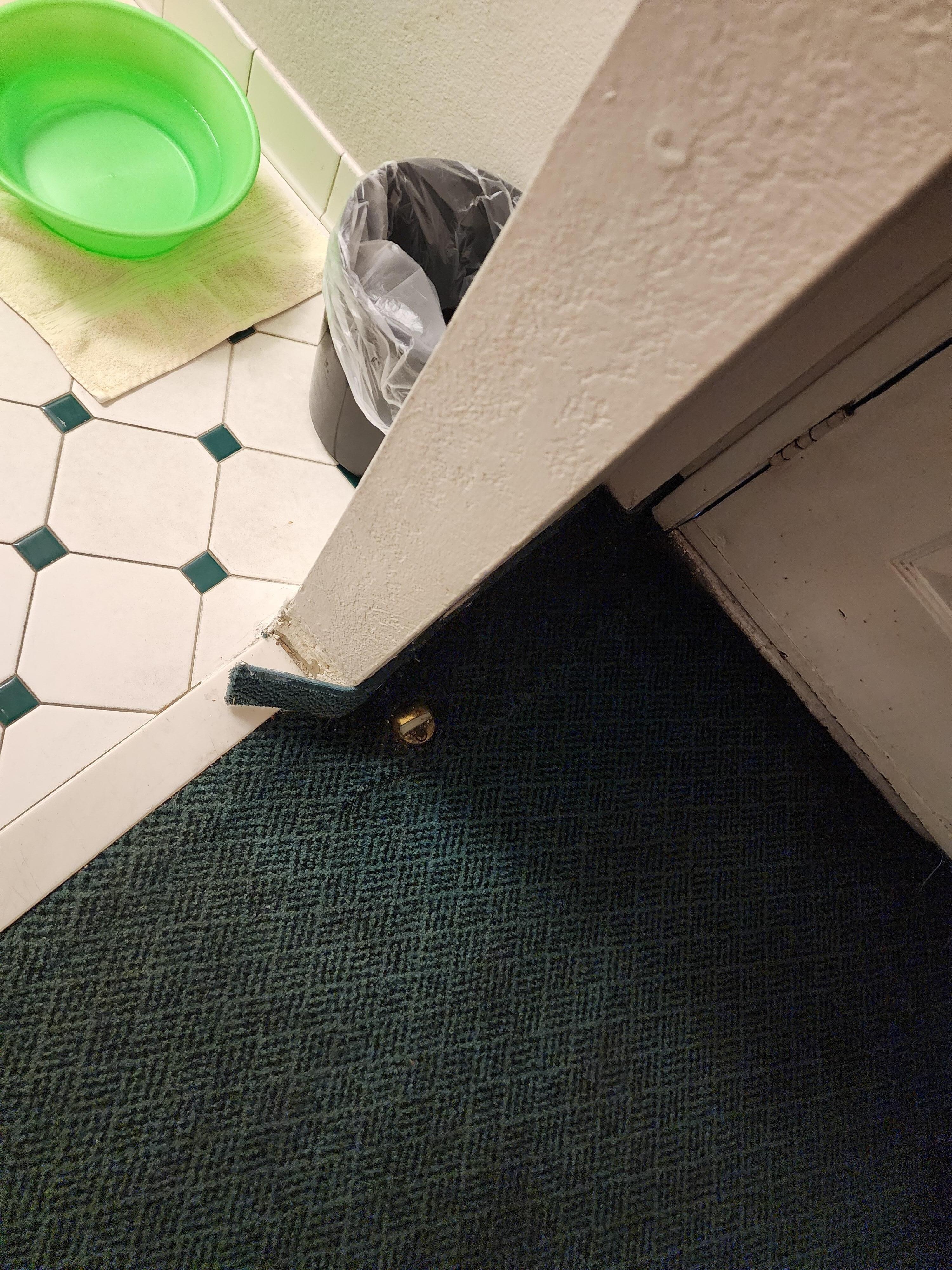 Carpets dirty and torn.
