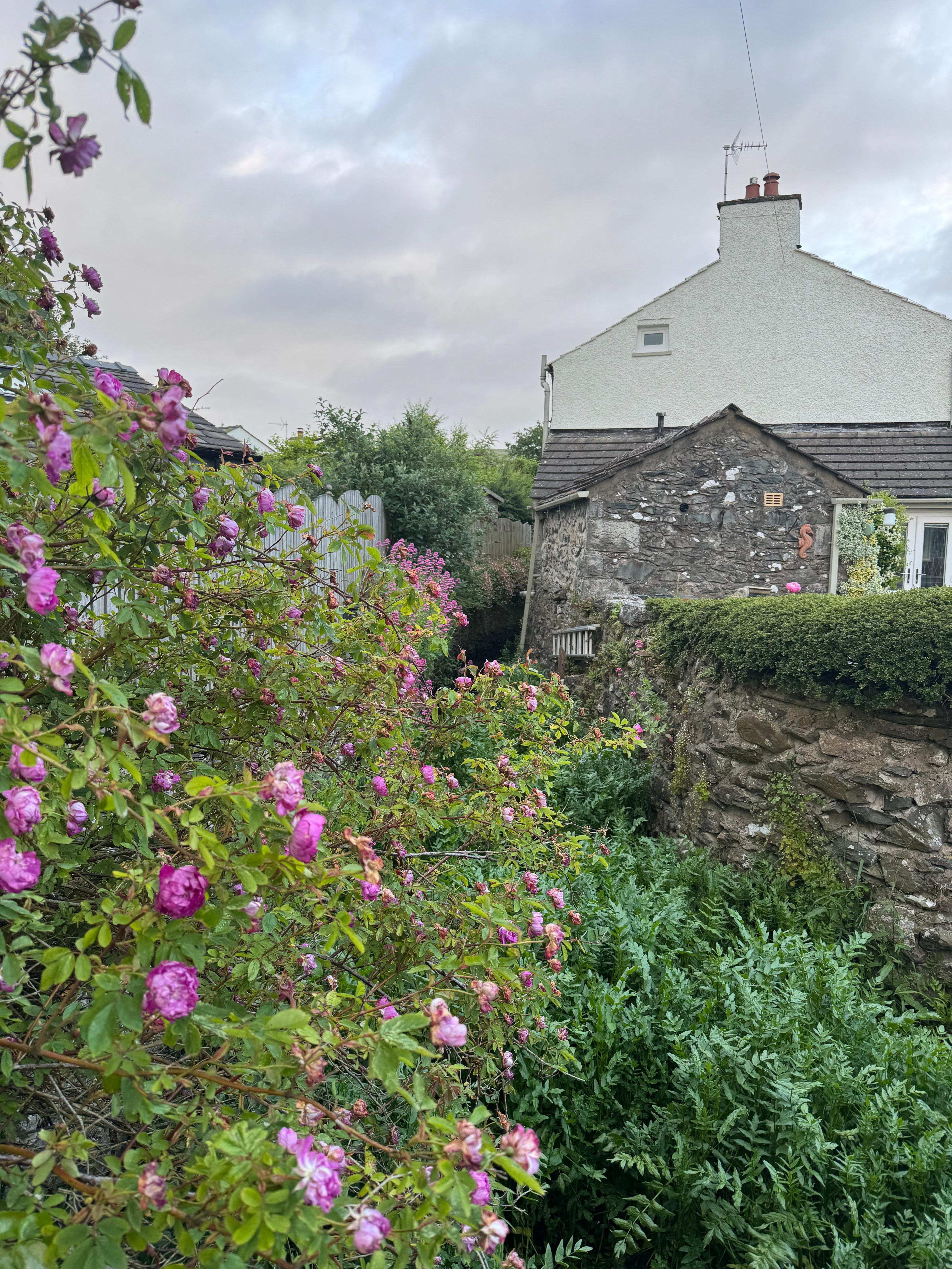 Back garden with sweet stream