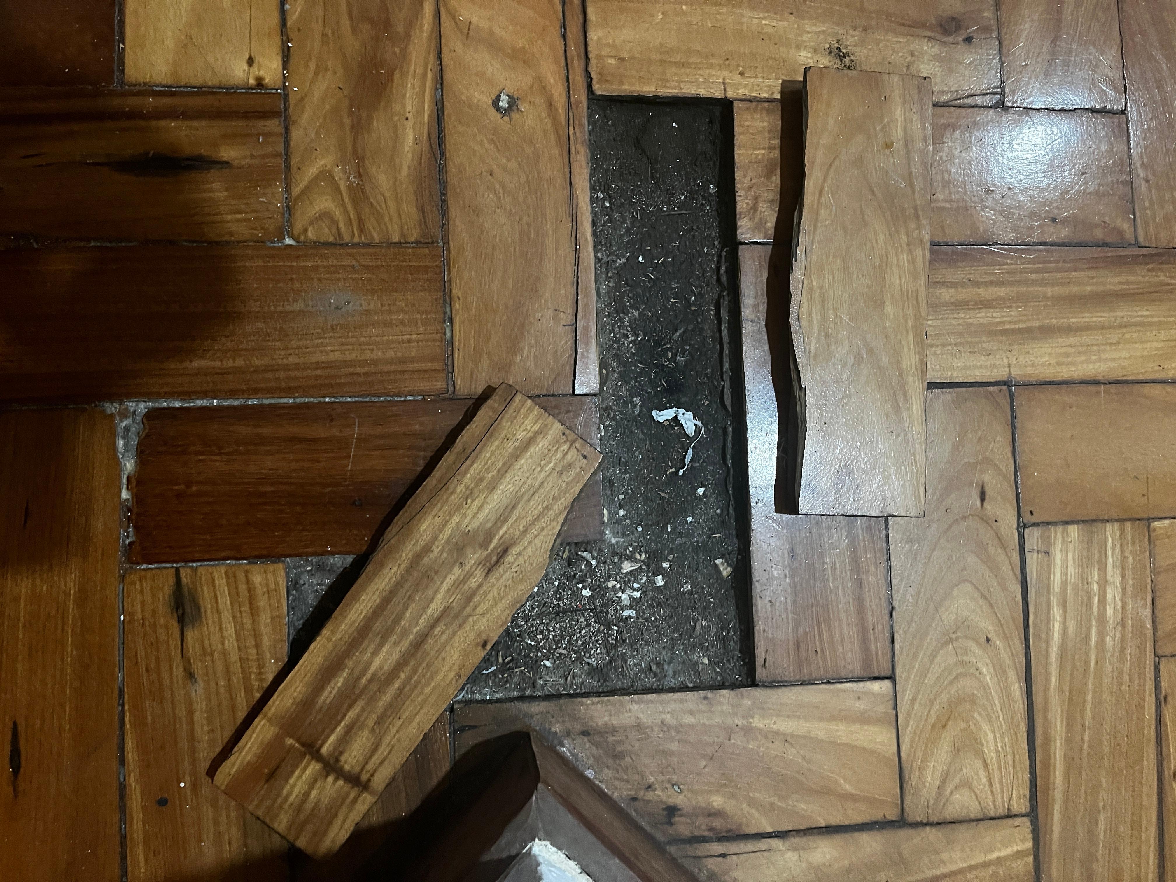 Broken flooring all over apartment 