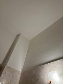 Værelse 3 - skimmelsvamp på badeværelse