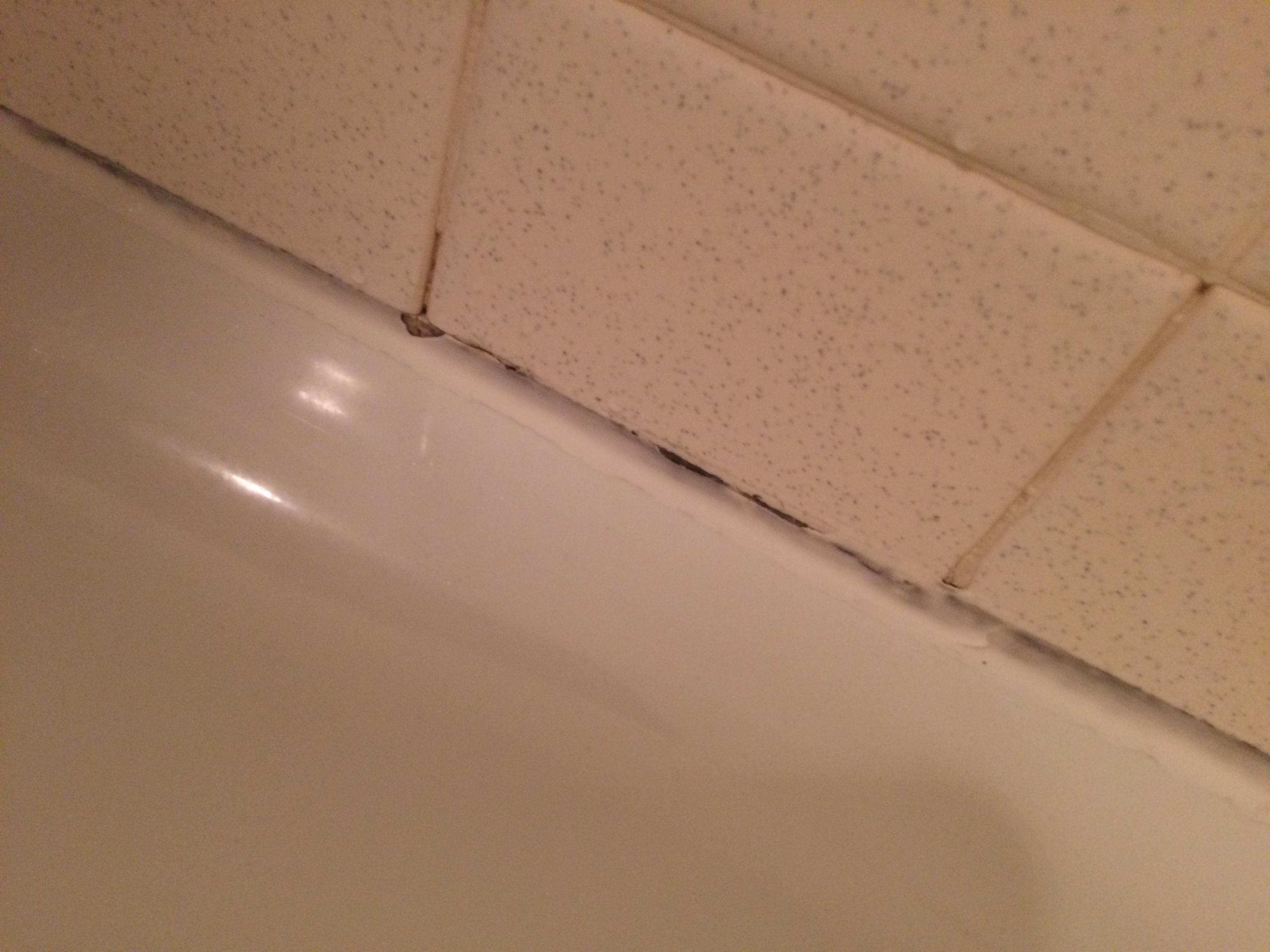 This is Black mold