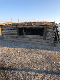 Bunny hut lots of bunnies hopping around fun to watch