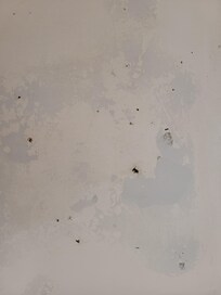 Trous dans le fond de la baignoire