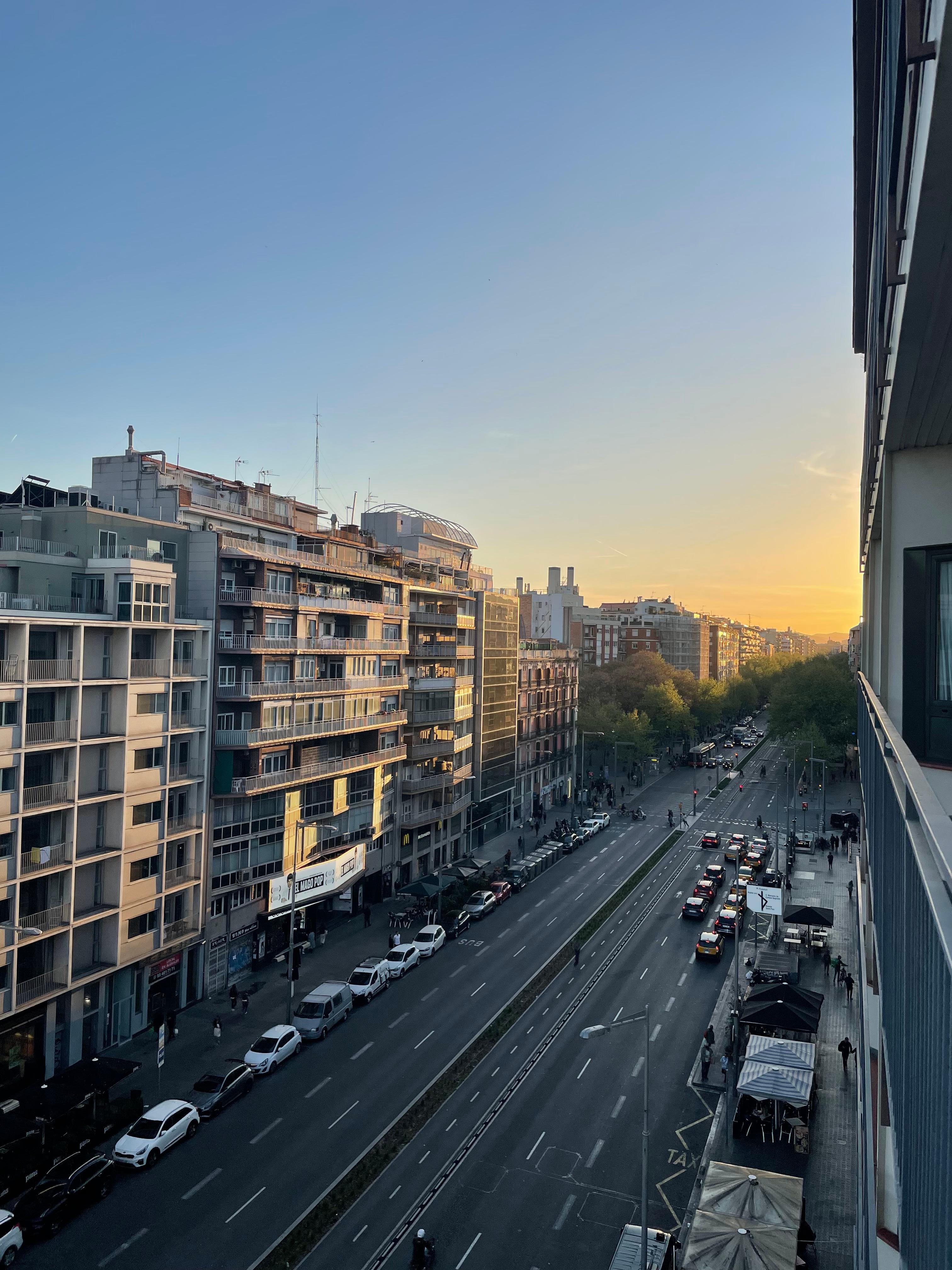 テラスからの眺め