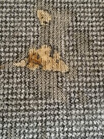 Burned hole in one bedroom carpet