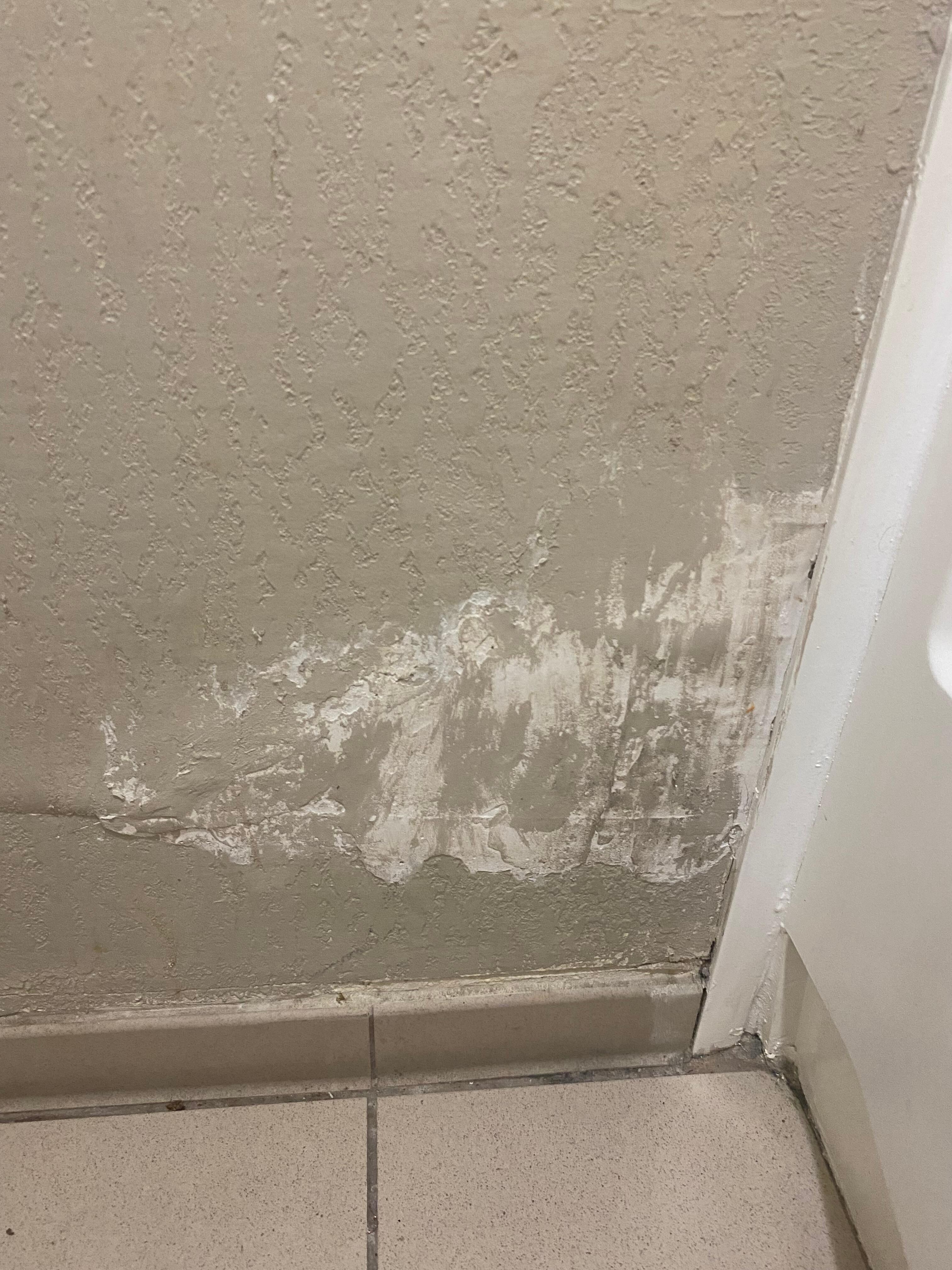 Condiciones del baño