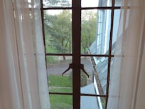 Peaceful view from room
