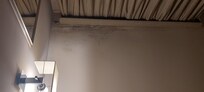Humedad y Moho en la habitación