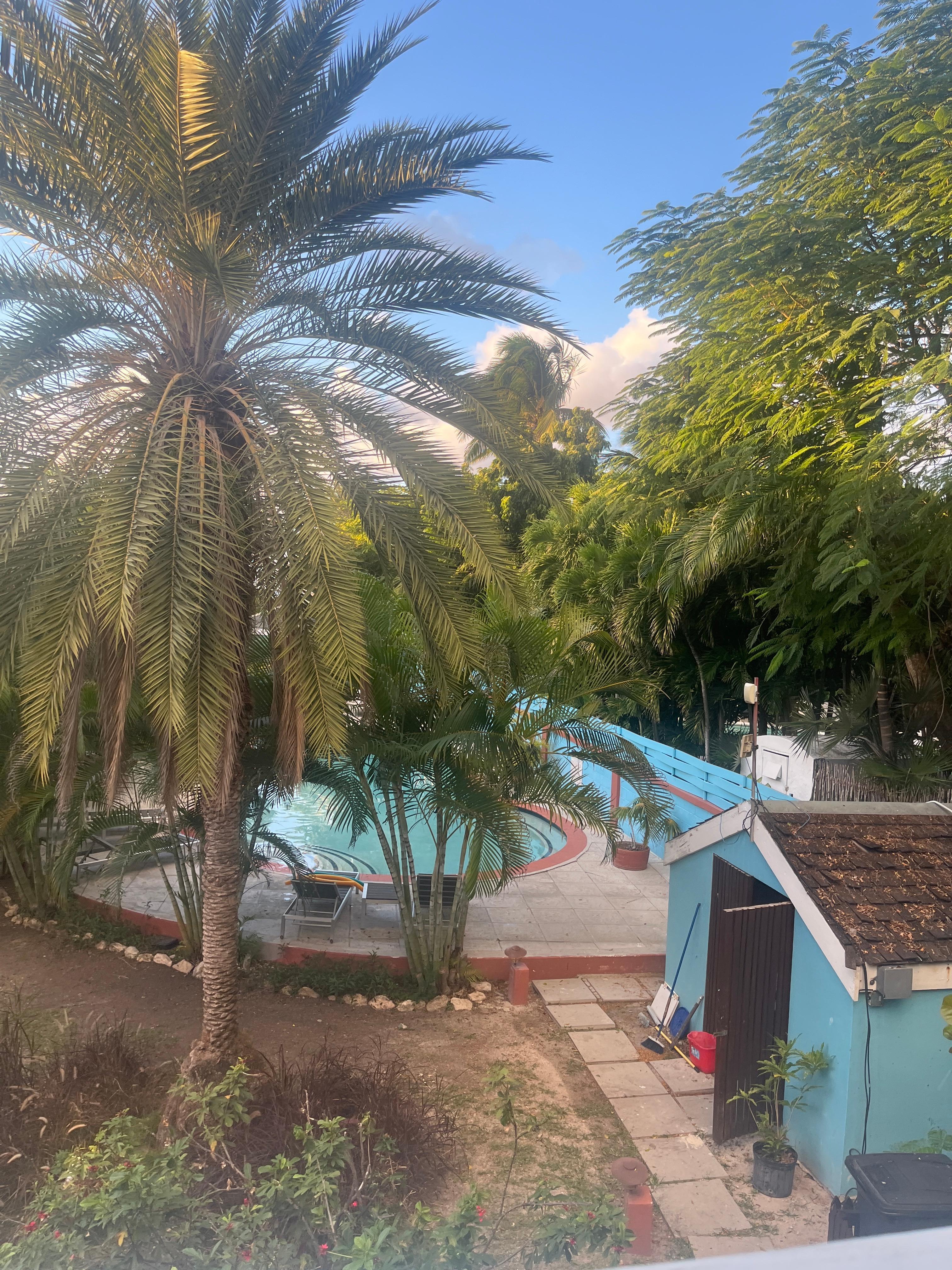 Poolside- the beach is steps away. 