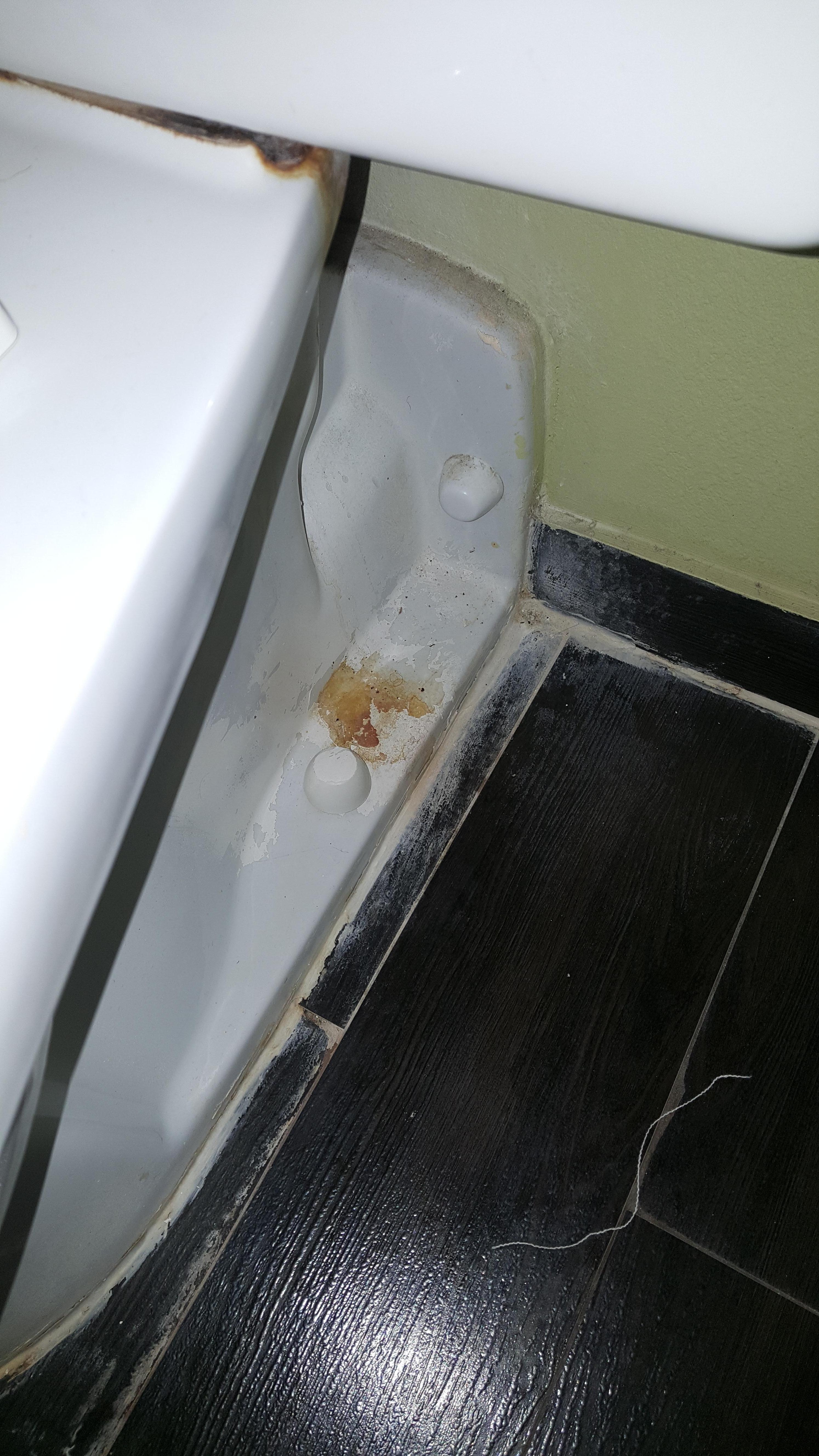 Side of the toilet