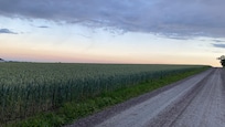 Miljön runtom