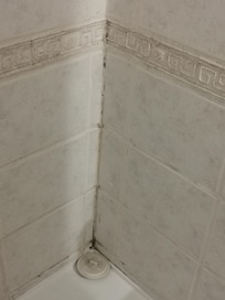 Suspicious staining that looks a lot like mold.