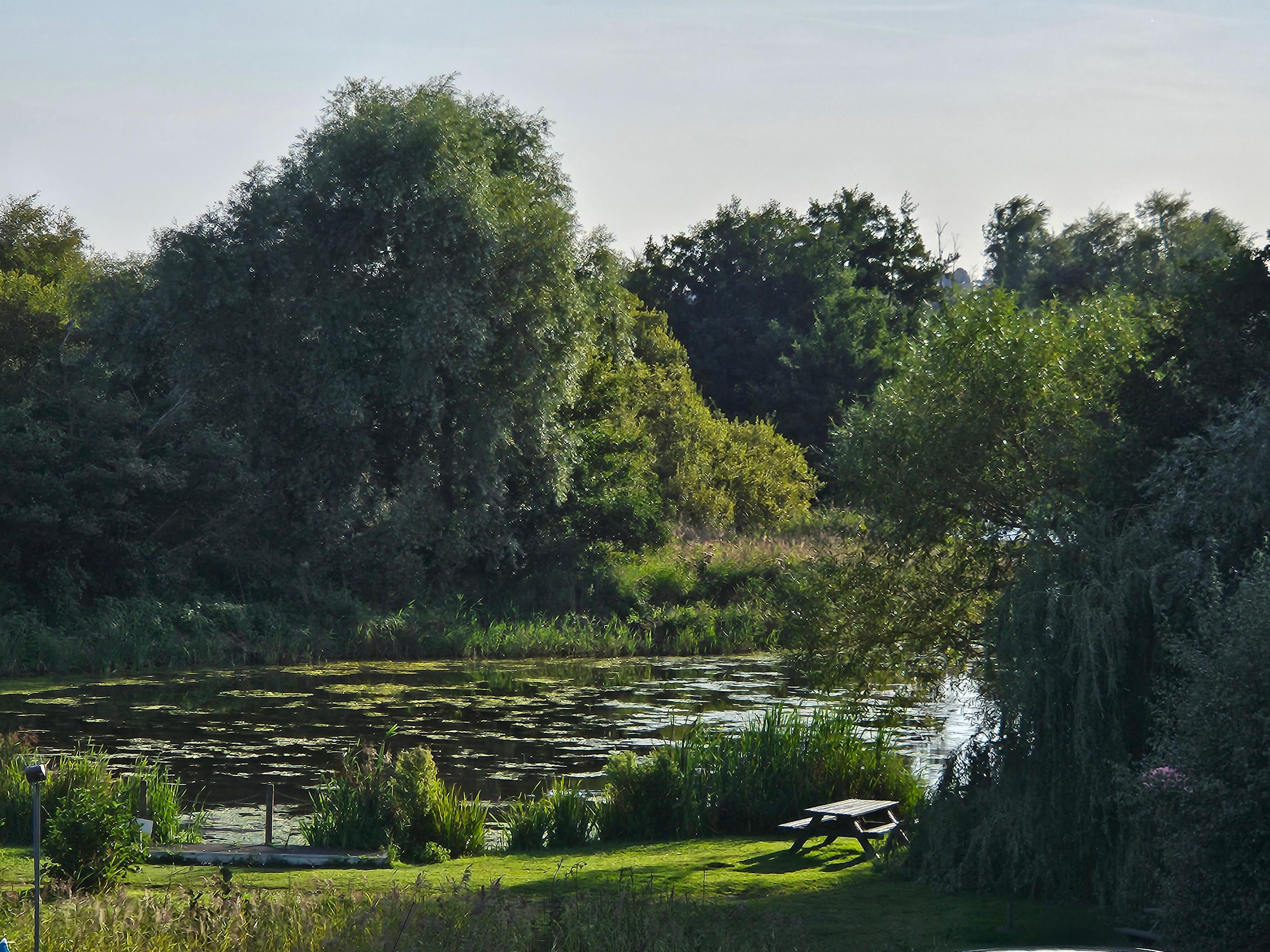 View from the outside seating area across the Meare