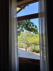 View out the window
