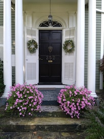 Front door