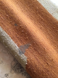 In room carpet/rug upon arrival