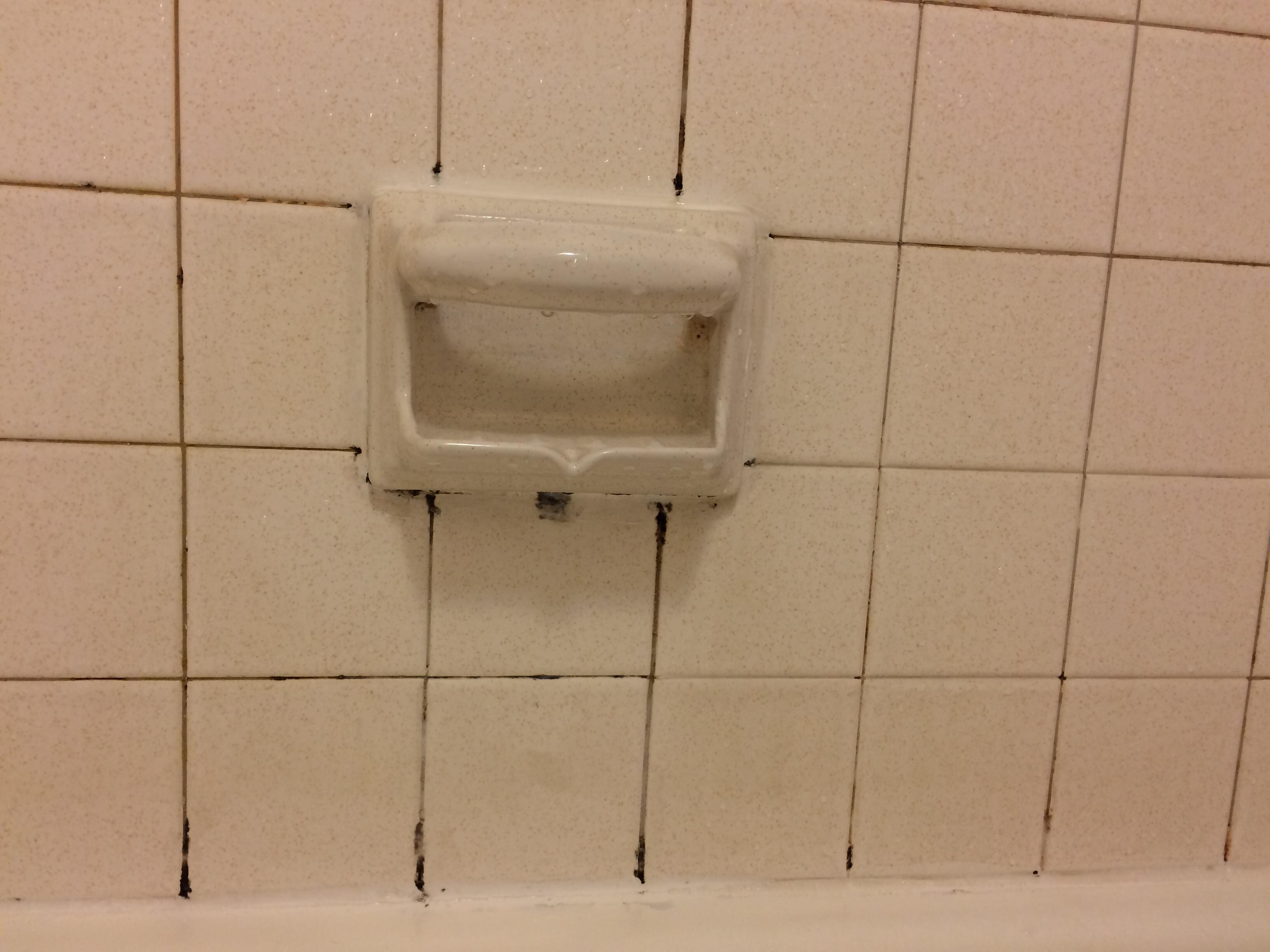 Moldy soap dish