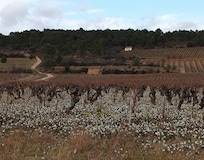 Le Minervois est magnifique