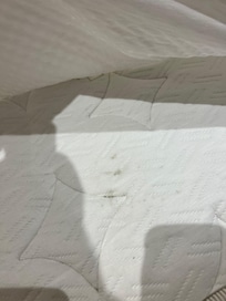 Staining consistent with bed bugs
