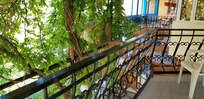 From the balconry