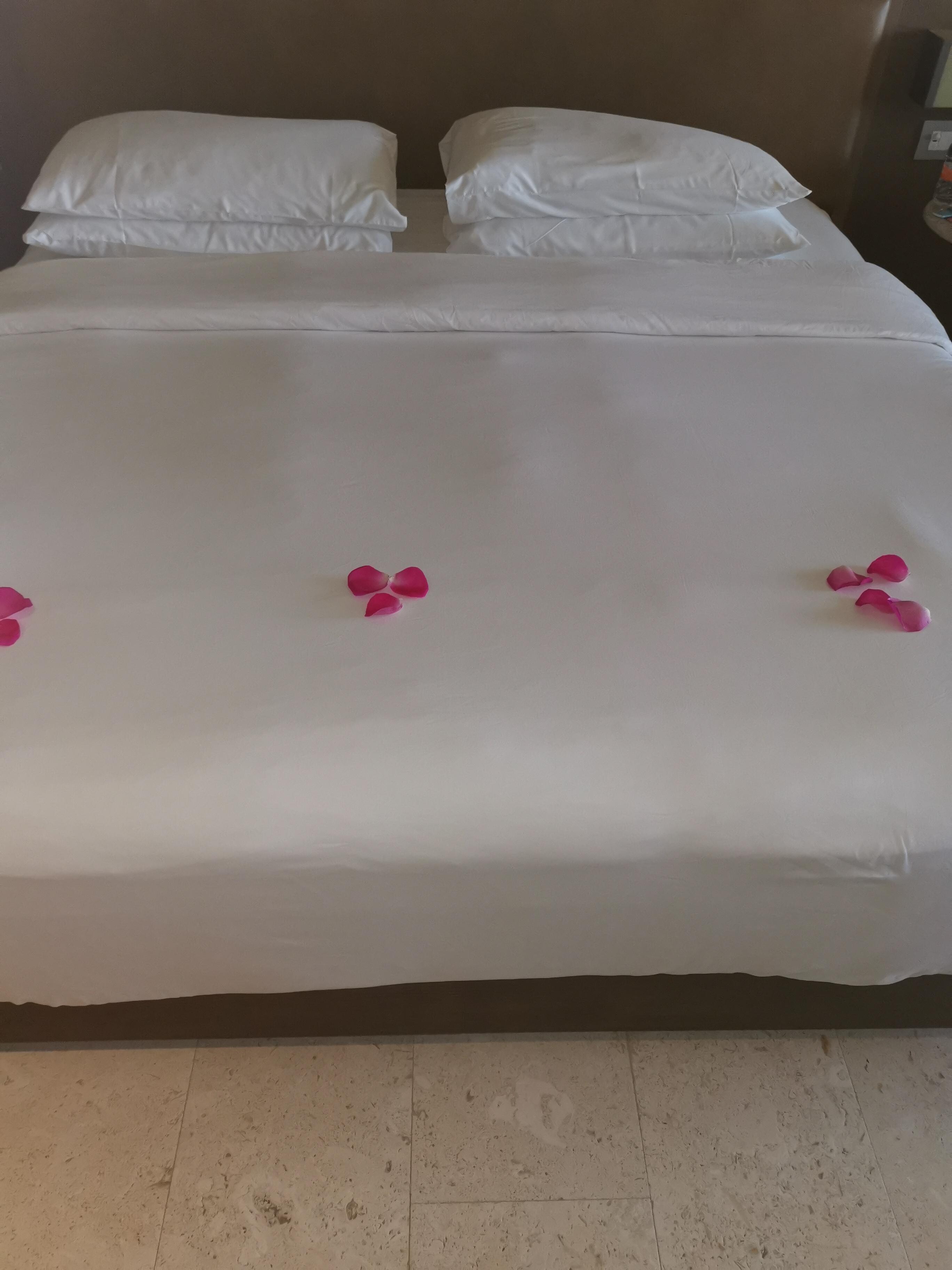 Perfect bed every day❤️