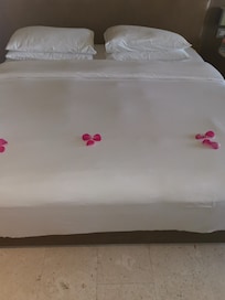 Perfect bed every day❤️