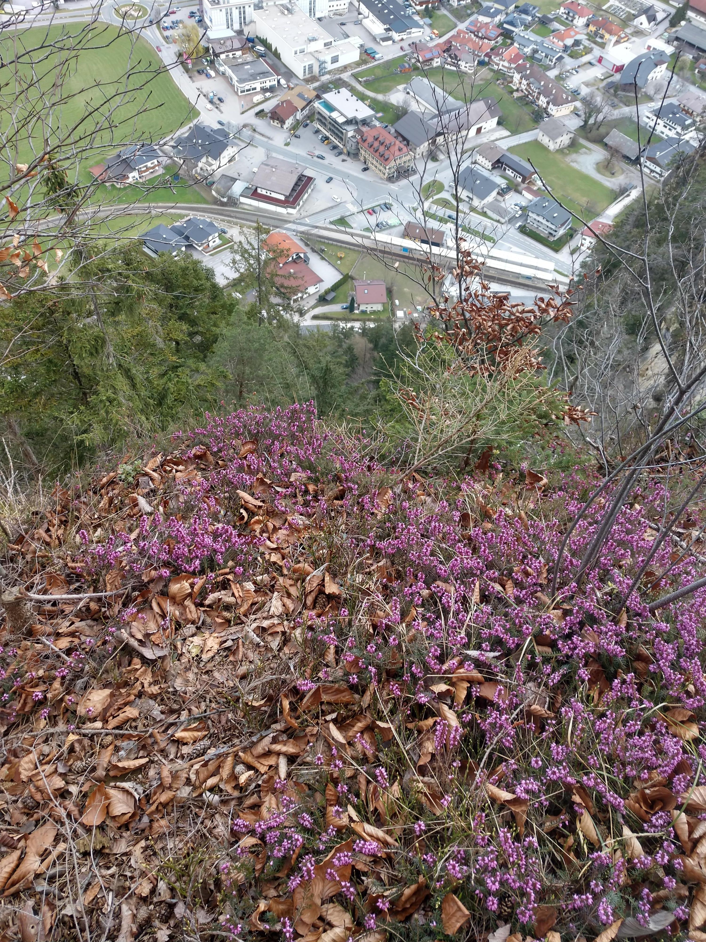 Top of the hike looking down to the hotel and roof top pool. 