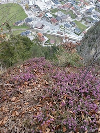 Top of the hike looking down to the hotel and roof top pool.