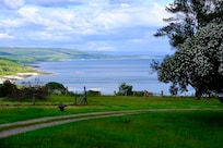View from garden