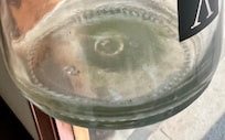 Green mold build up on the bottom