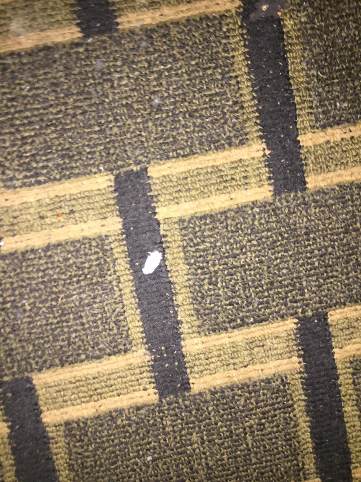 clearly not vacuumed