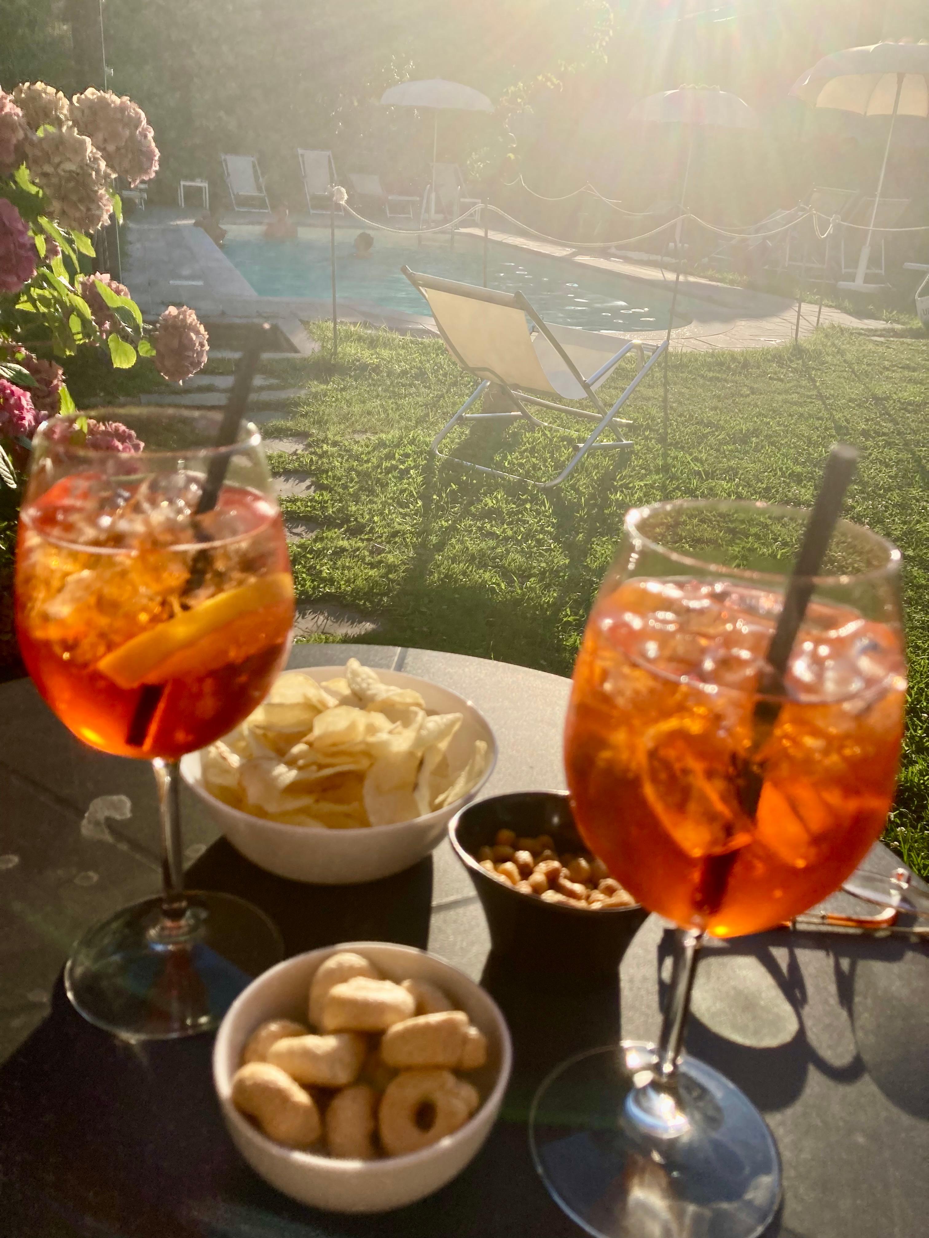 View of the garden and pool, they make superb aperol spritz 